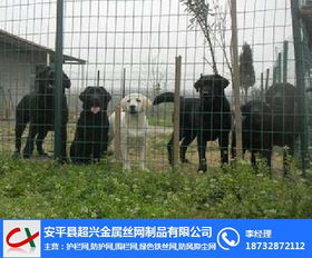 超兴荷兰网 图 园林铁丝网